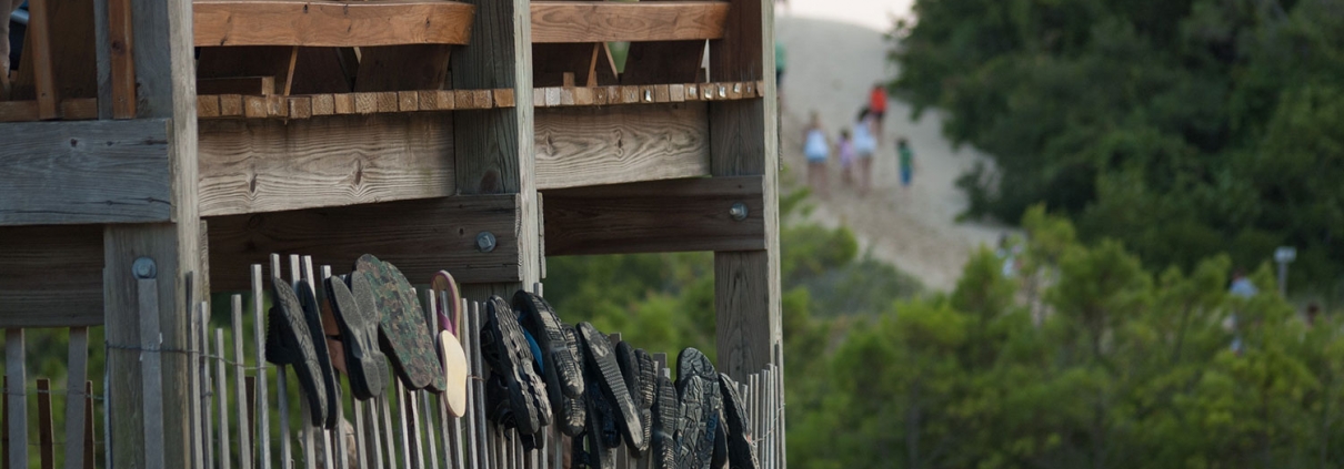 Jockey's Ridge © Bill Birkemeier