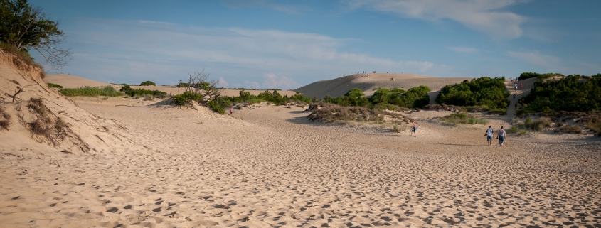 Jockey's Ridge © Bill Birkemeier