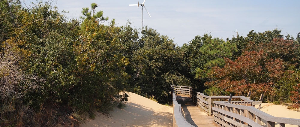 Boardwalk | © Bill Birkemeier