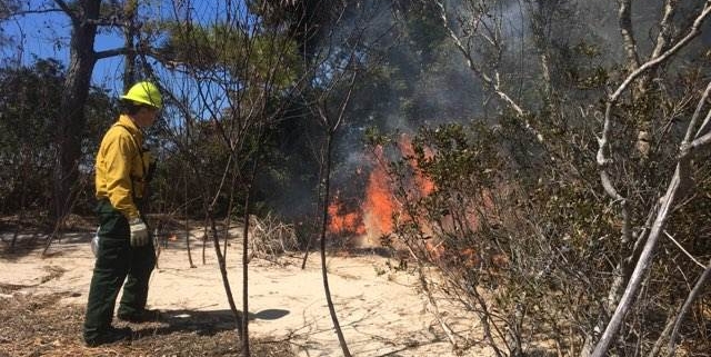 ecoEXPLORE at Jockey's Ridge