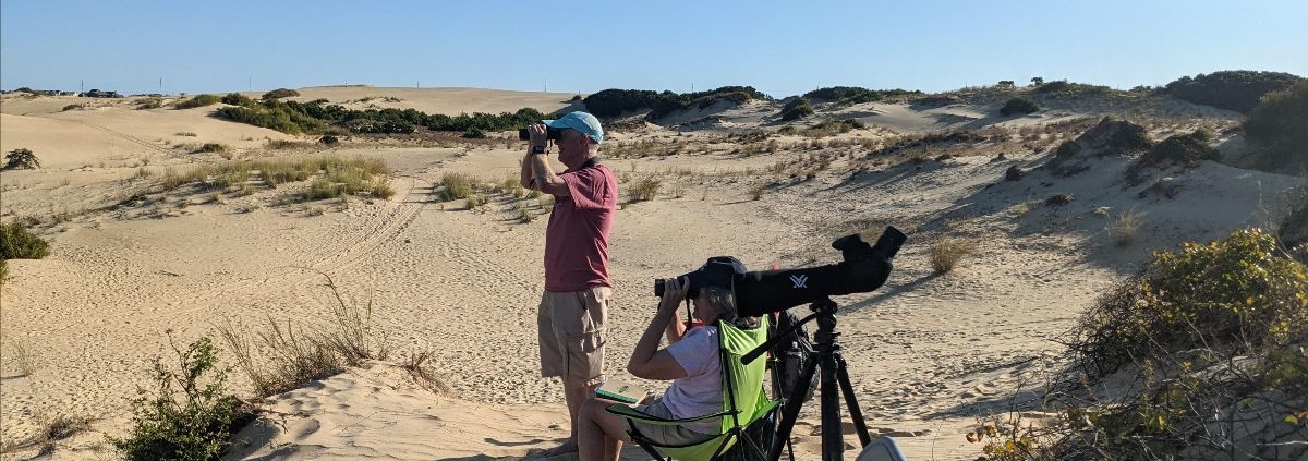 Jockey's Ridge Hawk Watch