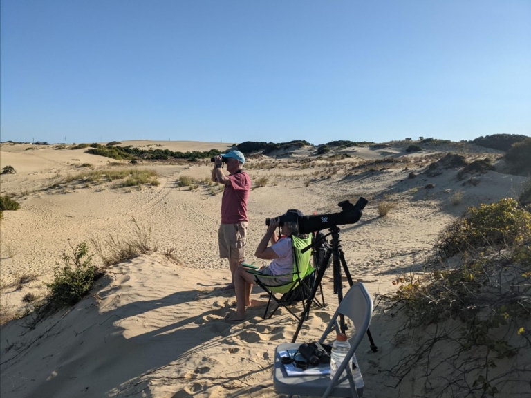 Jockey's Ridge Hawk Watch