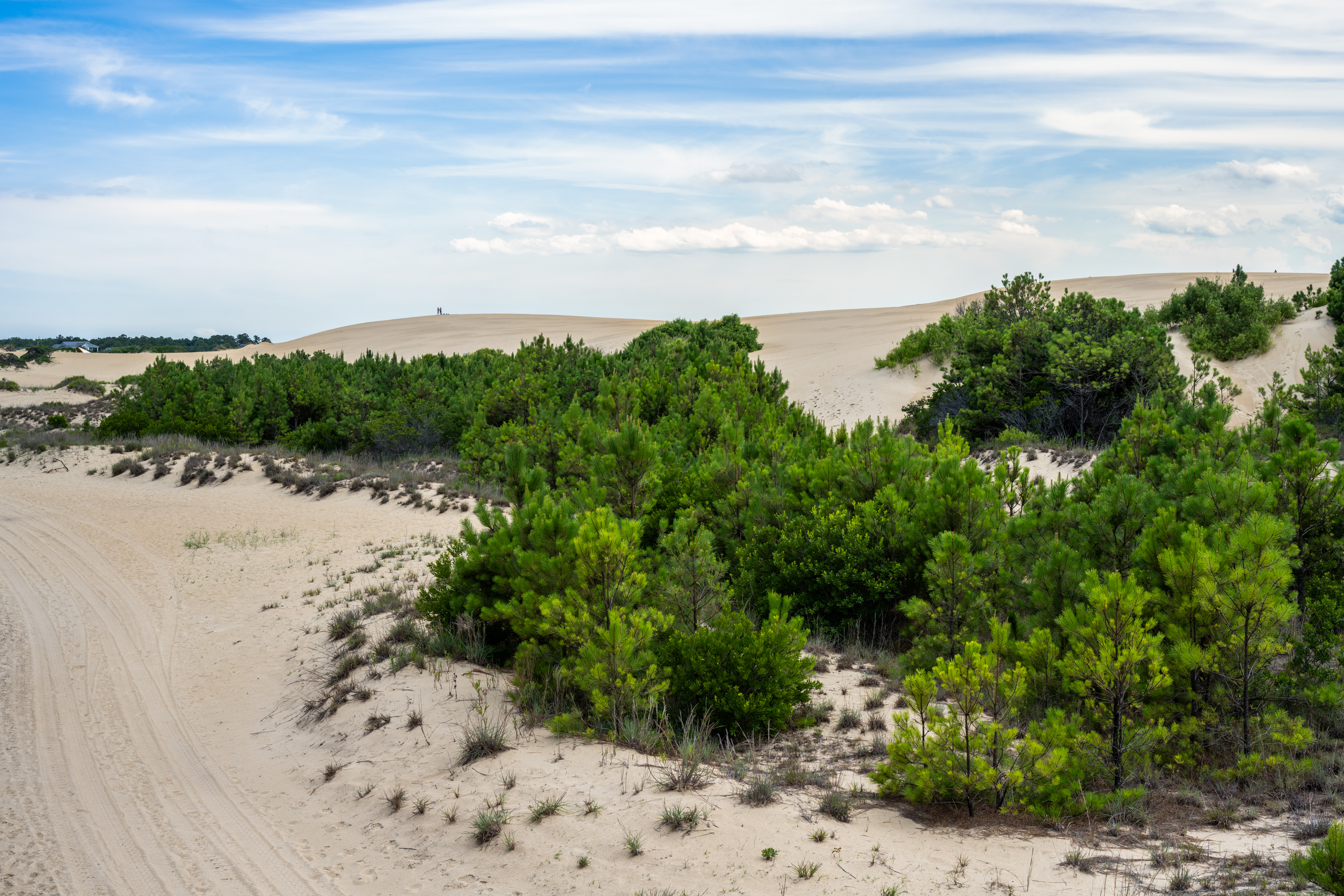 Jockey's Ridge State Park © Bill Birkemeier